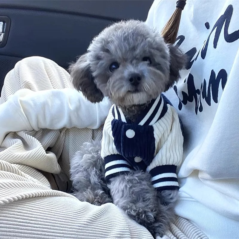 Baby Clothing Winter - Costume for Dog Clothes Chihuahua Jeans