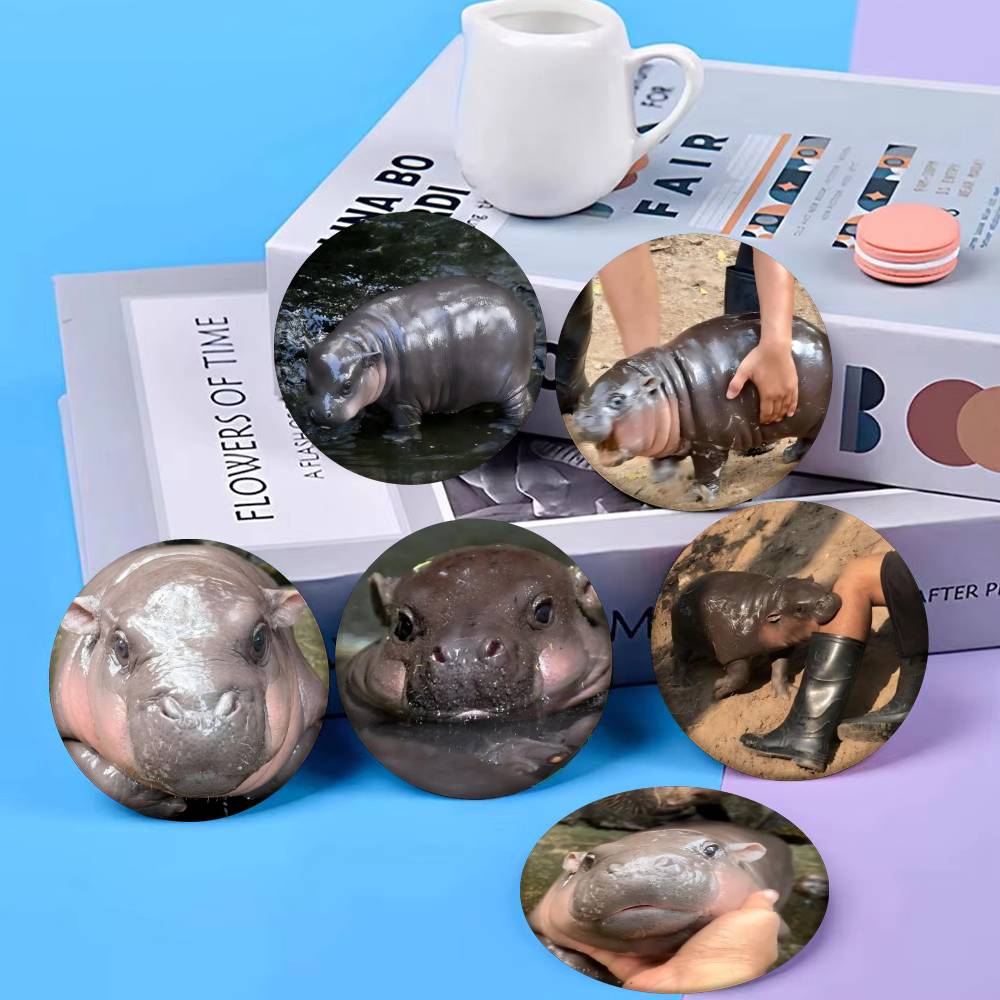 Baby Clothing Japan - Baby Hippo Moo Deng Badge Tinplate