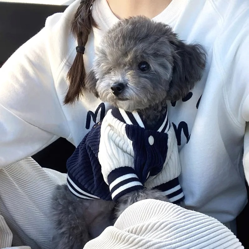 Costume for Dog Clothes Chihua - Baby Clothing Winter 评论和价格