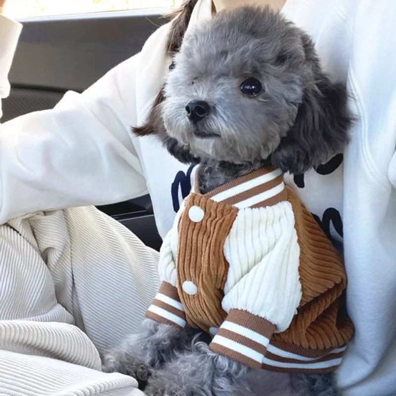 Costume for Dog Clothes Chihua - Baby Clothing Winter 评论和价格