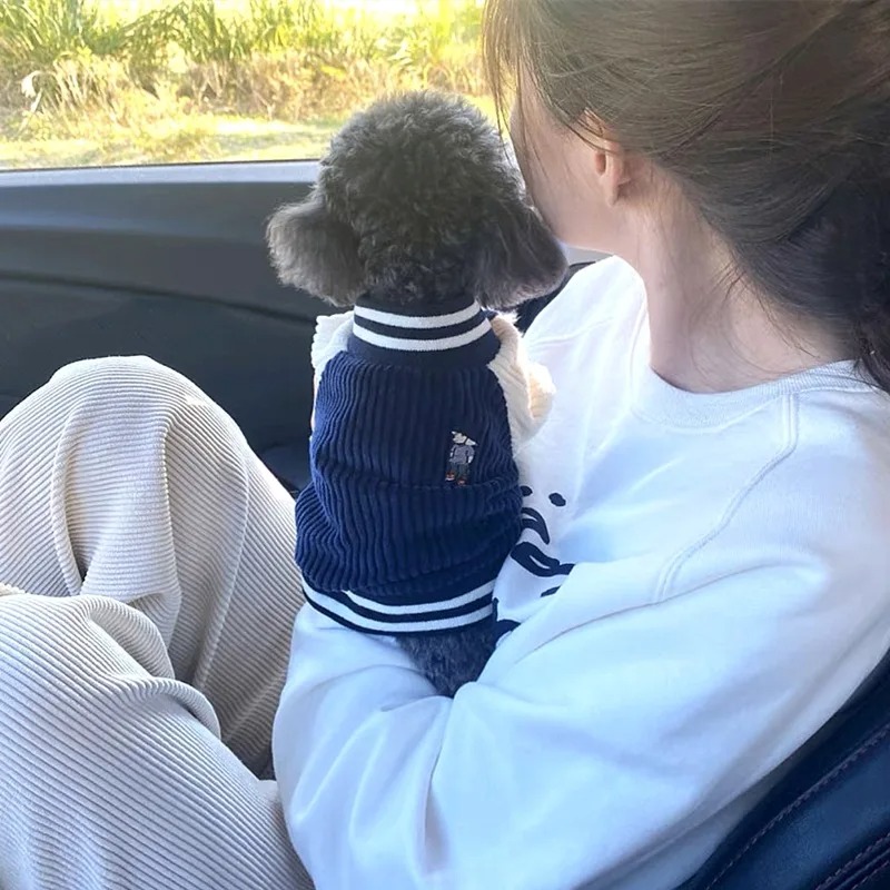 Costume for Dog Clothes Chihua - Baby Clothing Winter 评论和价格