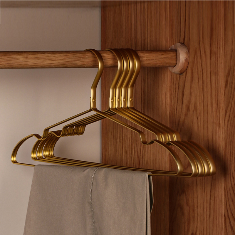 10pcs Matte Gold Hanger Clothe - Baby Clothing Rack 评论和价格