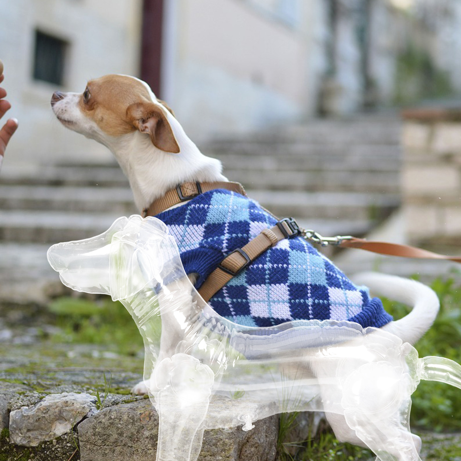 Inflatable Dog Mannequin Displ - Baby Clothing Display Stand 评论和价格