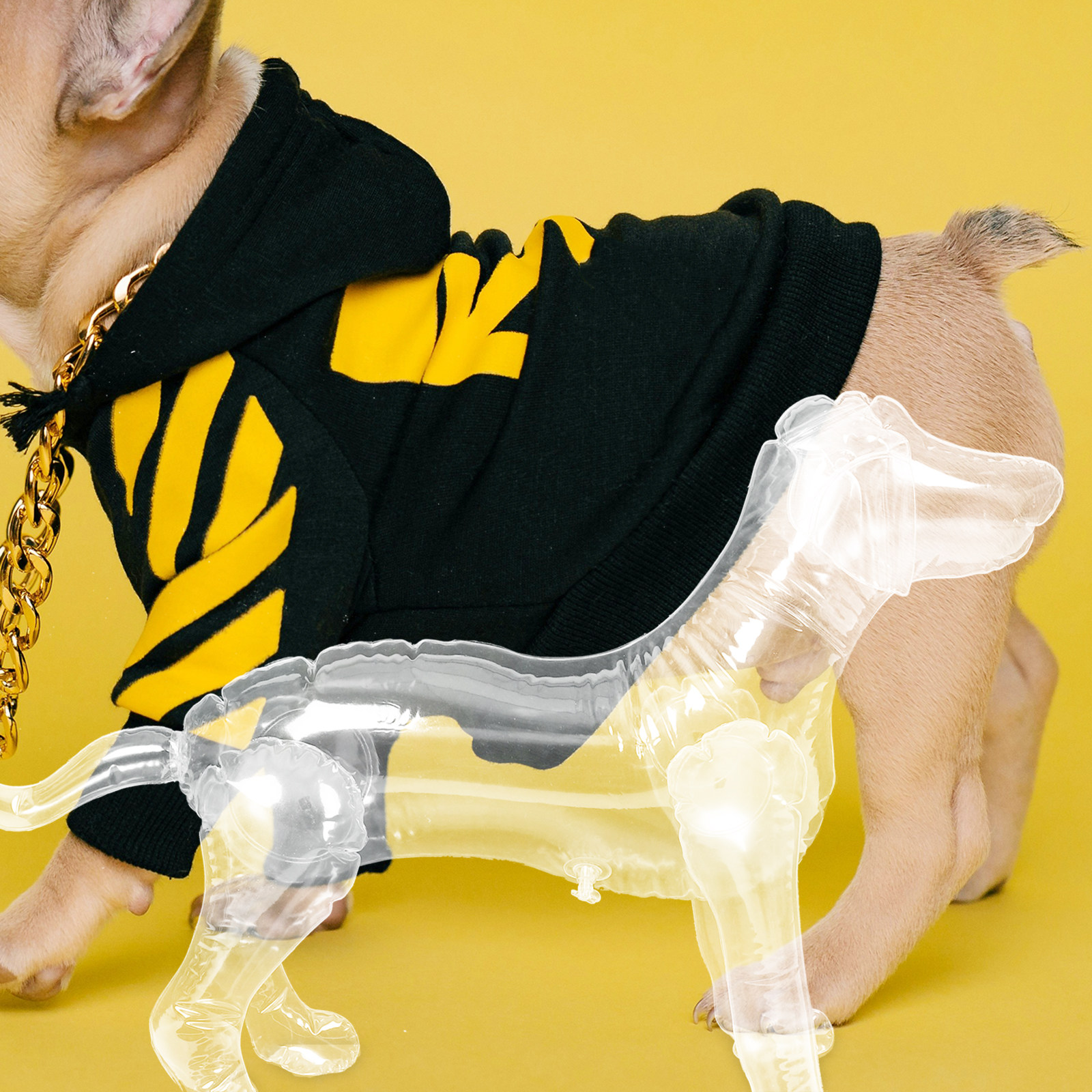 Inflatable Dog Mannequin Displ - Baby Clothing Display Stand 评论和价格