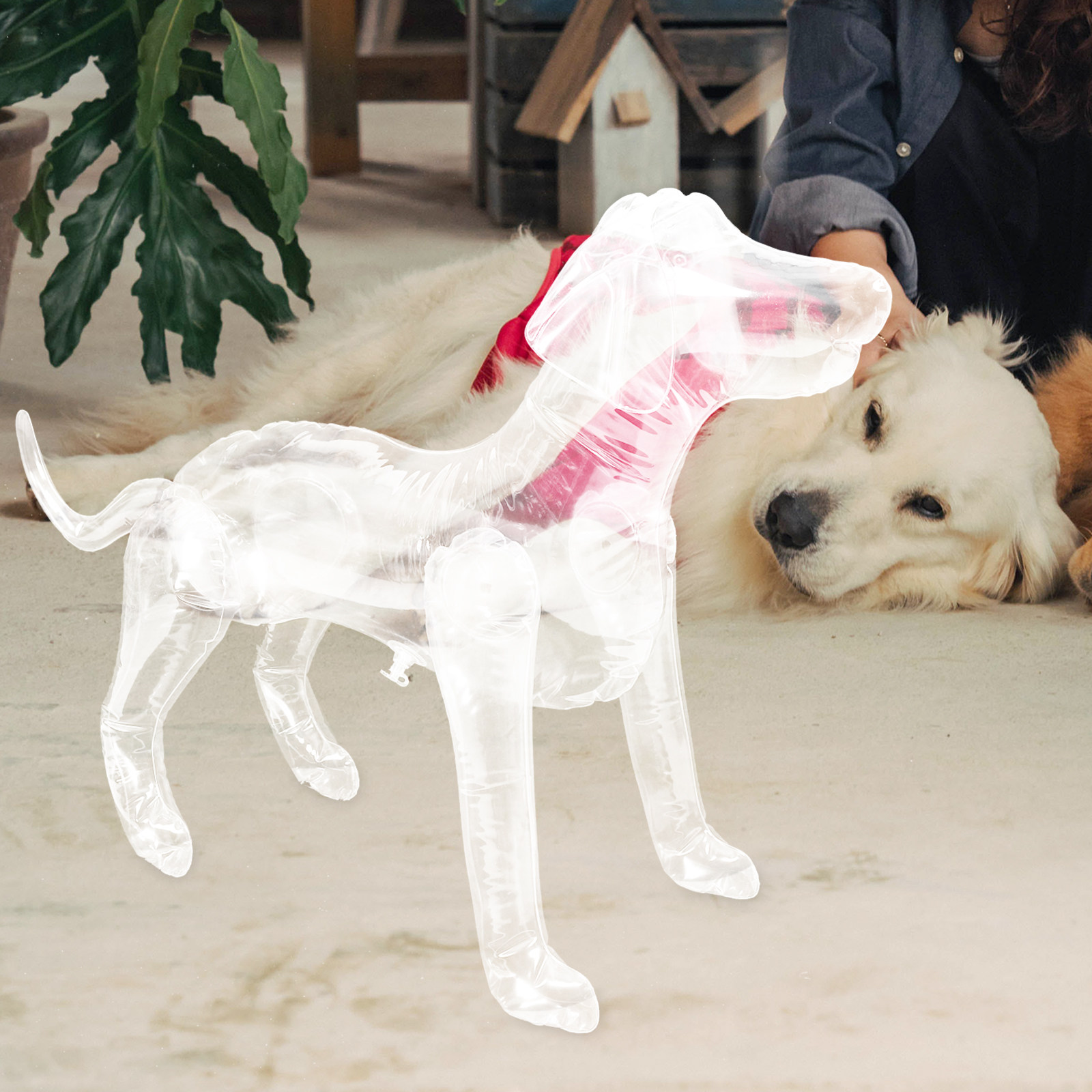 Inflatable Dog Mannequin Displ - Baby Clothing Display Stand 评论和价格